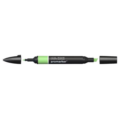 Pennarelli Winsor&Newton Promarker doppia punta fine-larga - apple G338 - 0203210